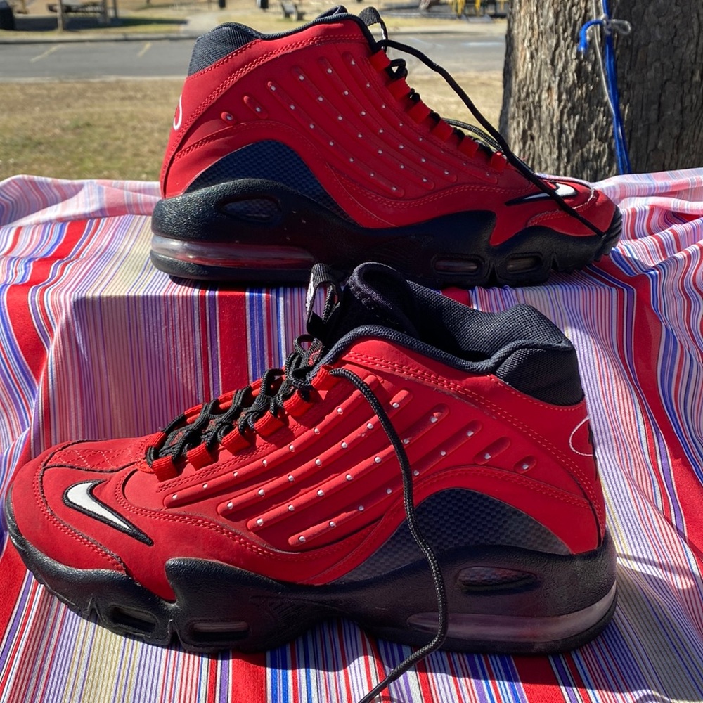 Nike Jordan shoe